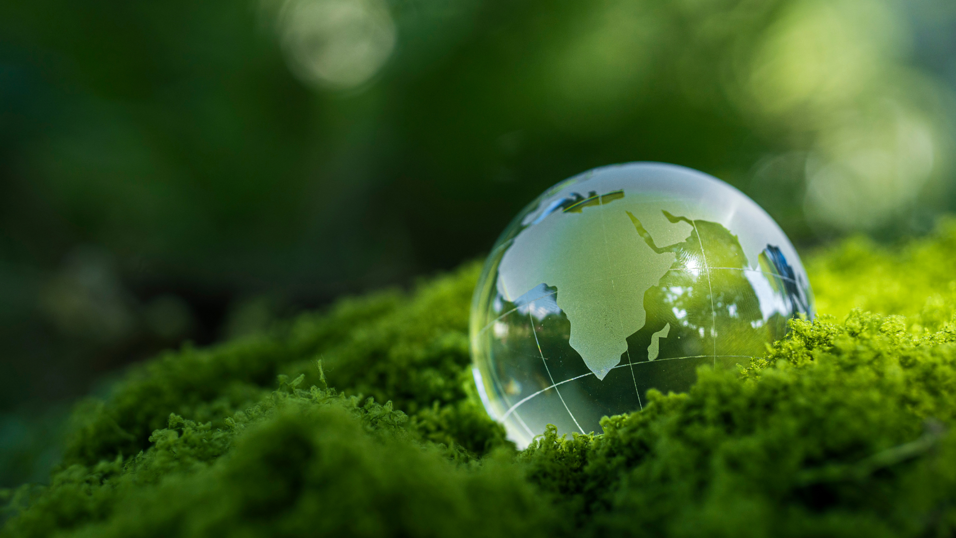 Planetary Boundaries and Donuts: Understanding the Planet's New Dashboard