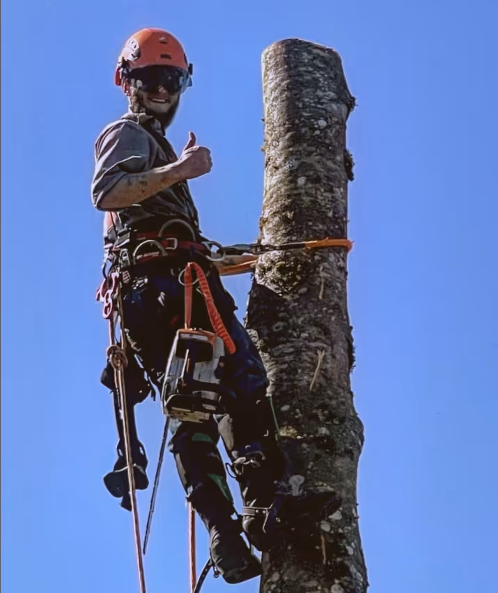 Brower Forestry practicing individual forestry.
