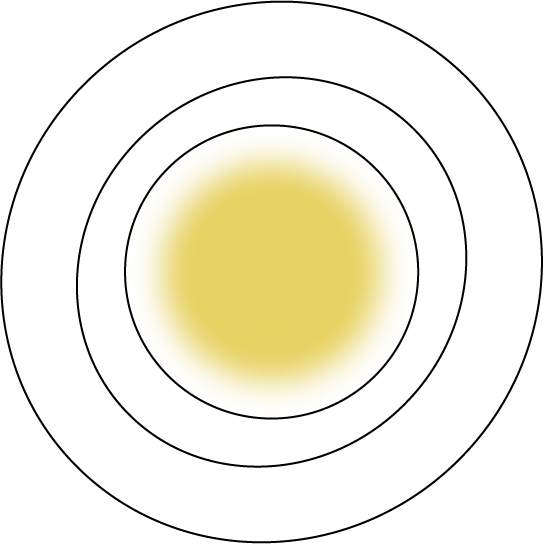 a icon and diagram of a sun with rings around it to signify culture