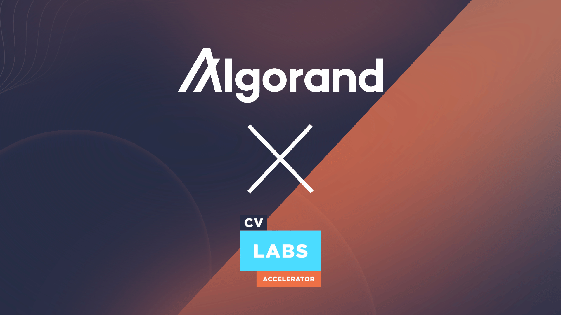 Algorand official website (93) 사진