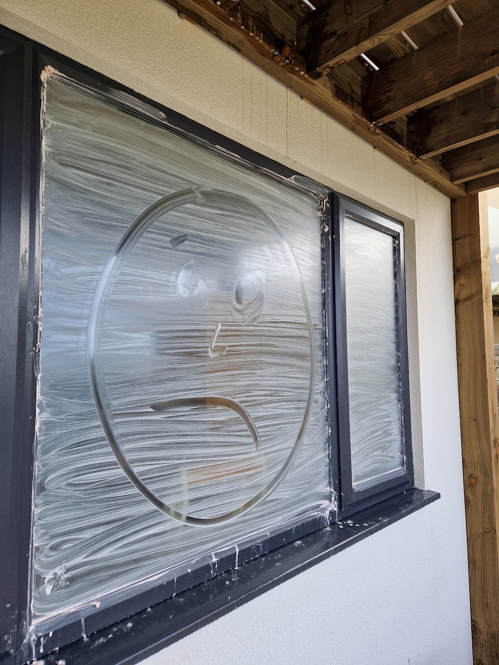 Dirty home windows in need of professional cleaning