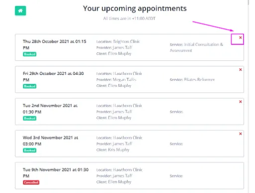 A demo image of the Upcoming Appointments list in the client portal