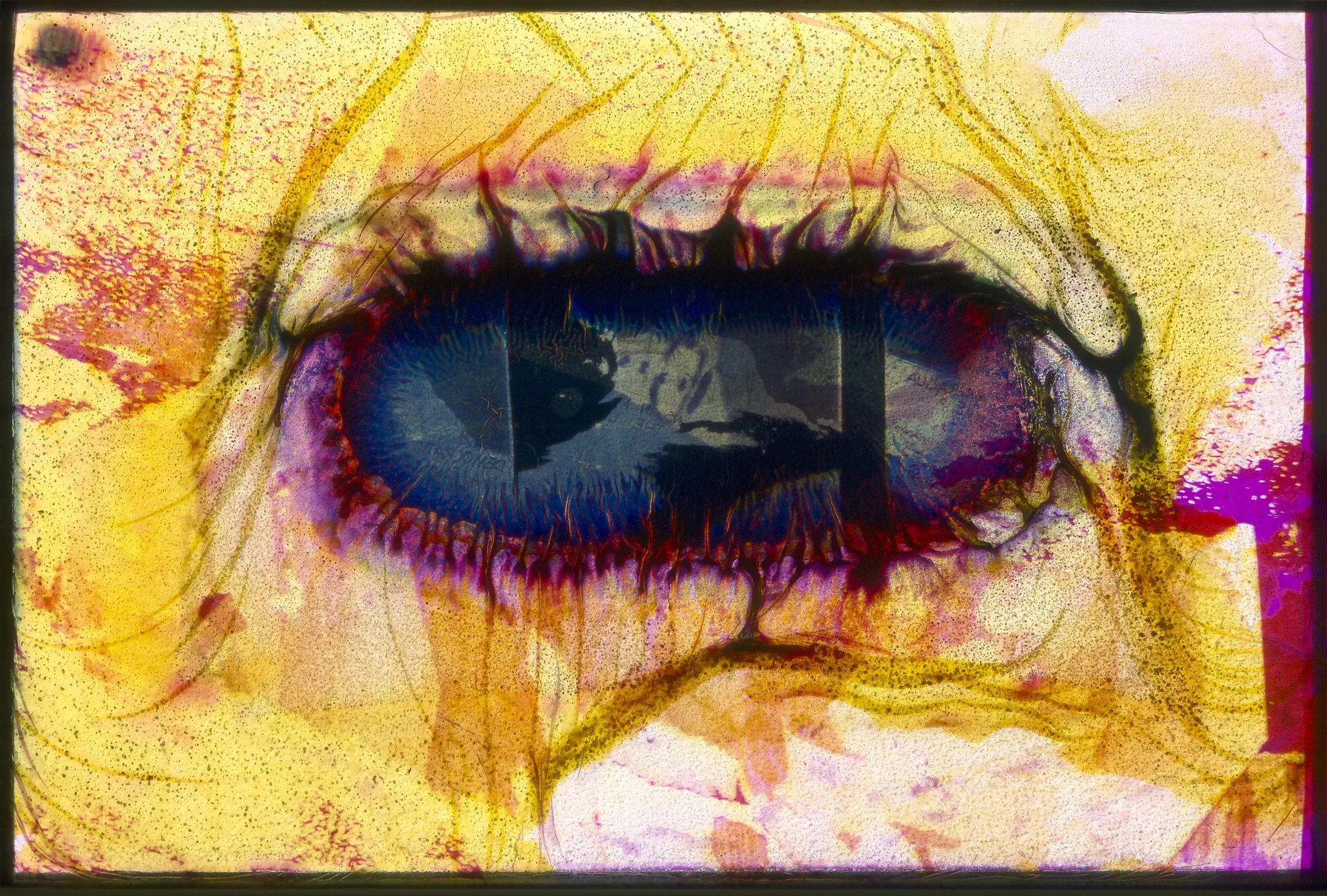 Lugo Lament (2025-ongoing) by David Farrell.