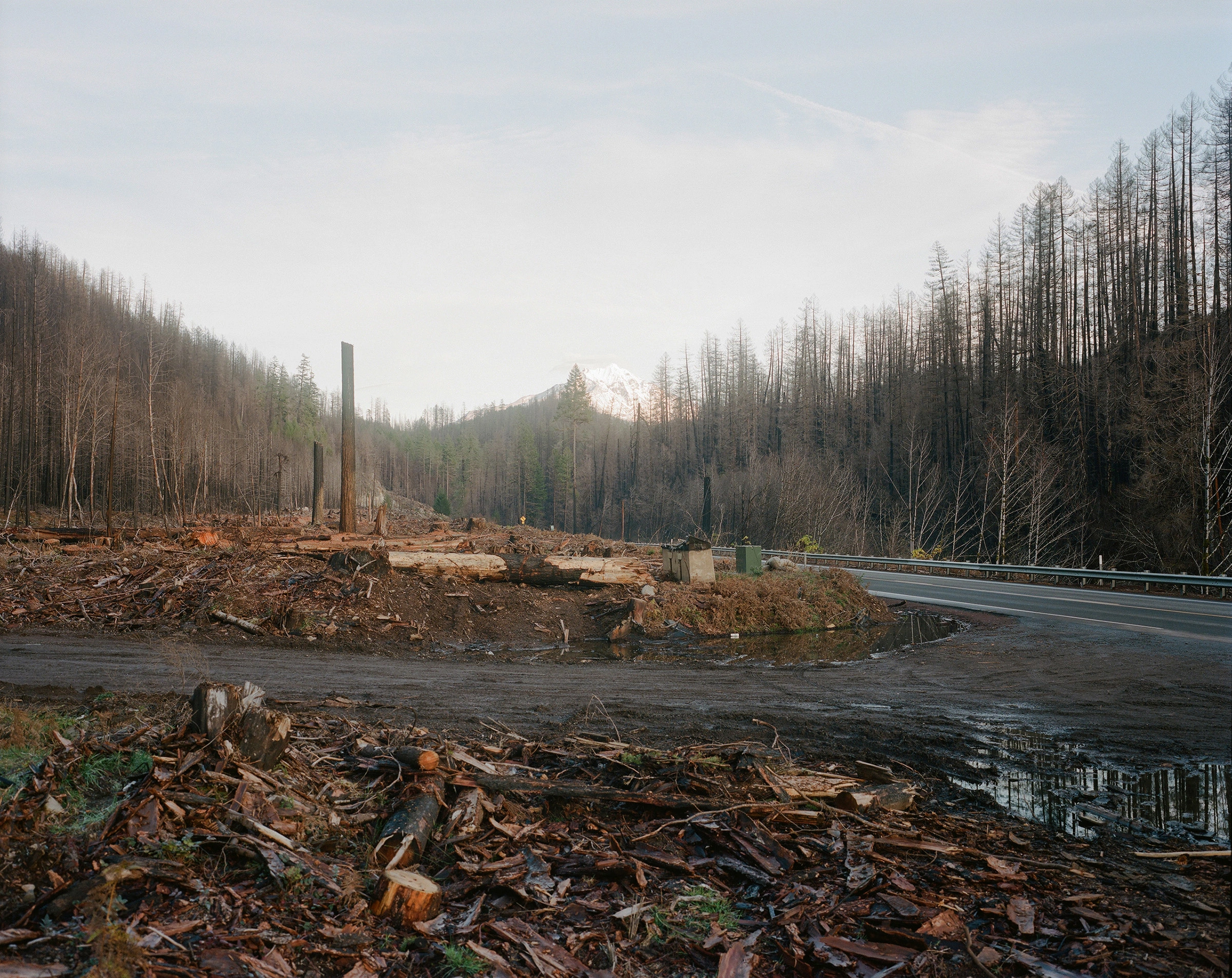 Logging of the 2020 wildfire-scarred Willamette National Forest, Oregon, 2021, from ‘After Us’ series.