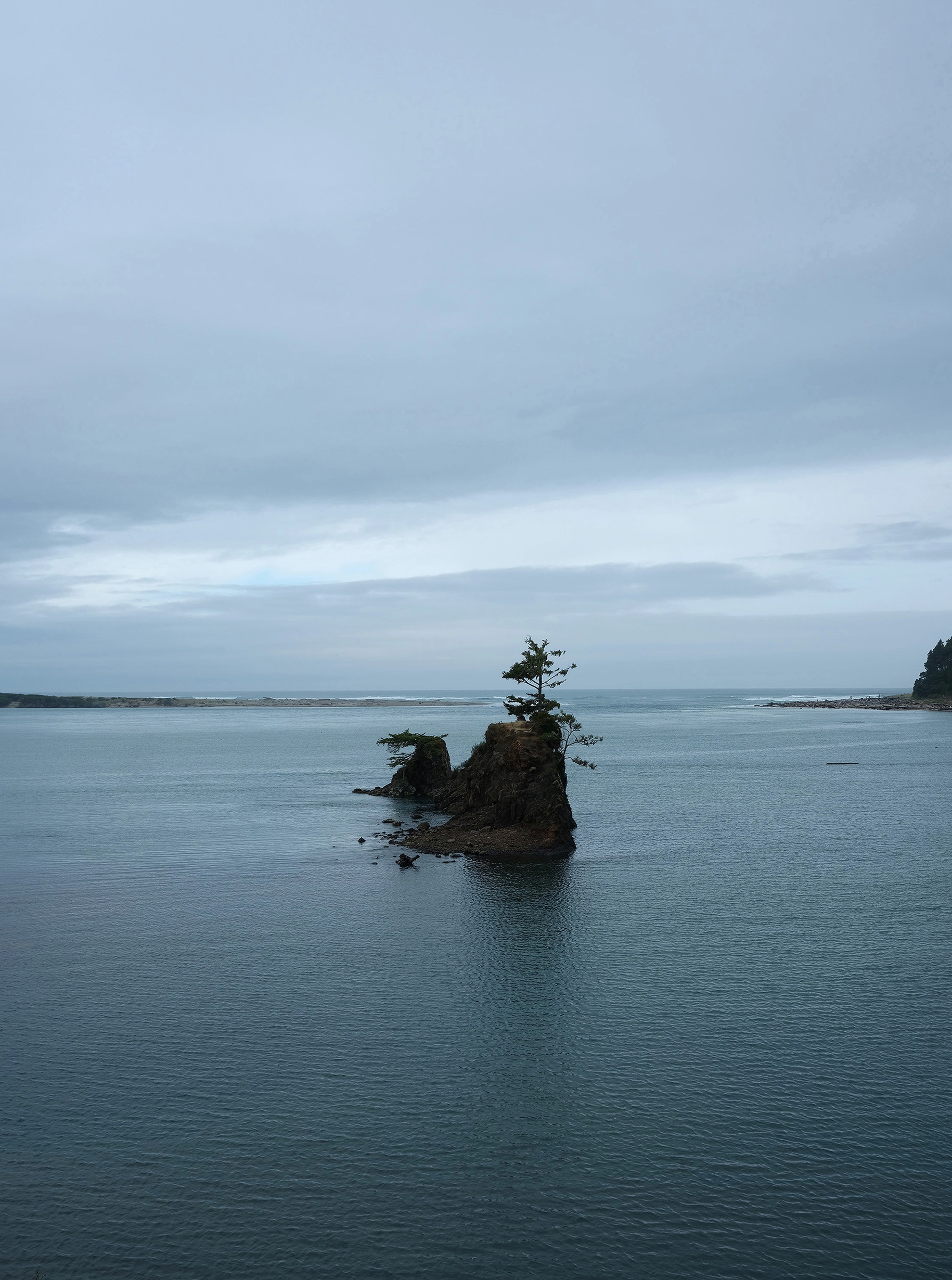 Tree separated from the coastal rainforest by the incoming tide, Lincoln City, Oregon, 2023, from ‘After Us’ series.