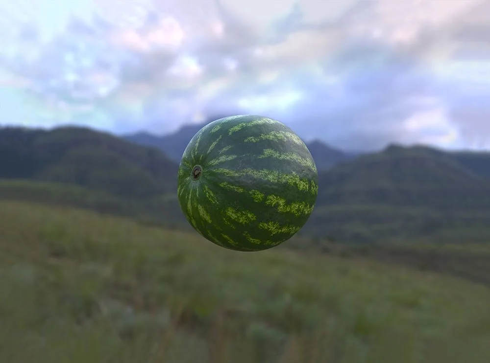 Theo Ellison, from the series Evolved Display.