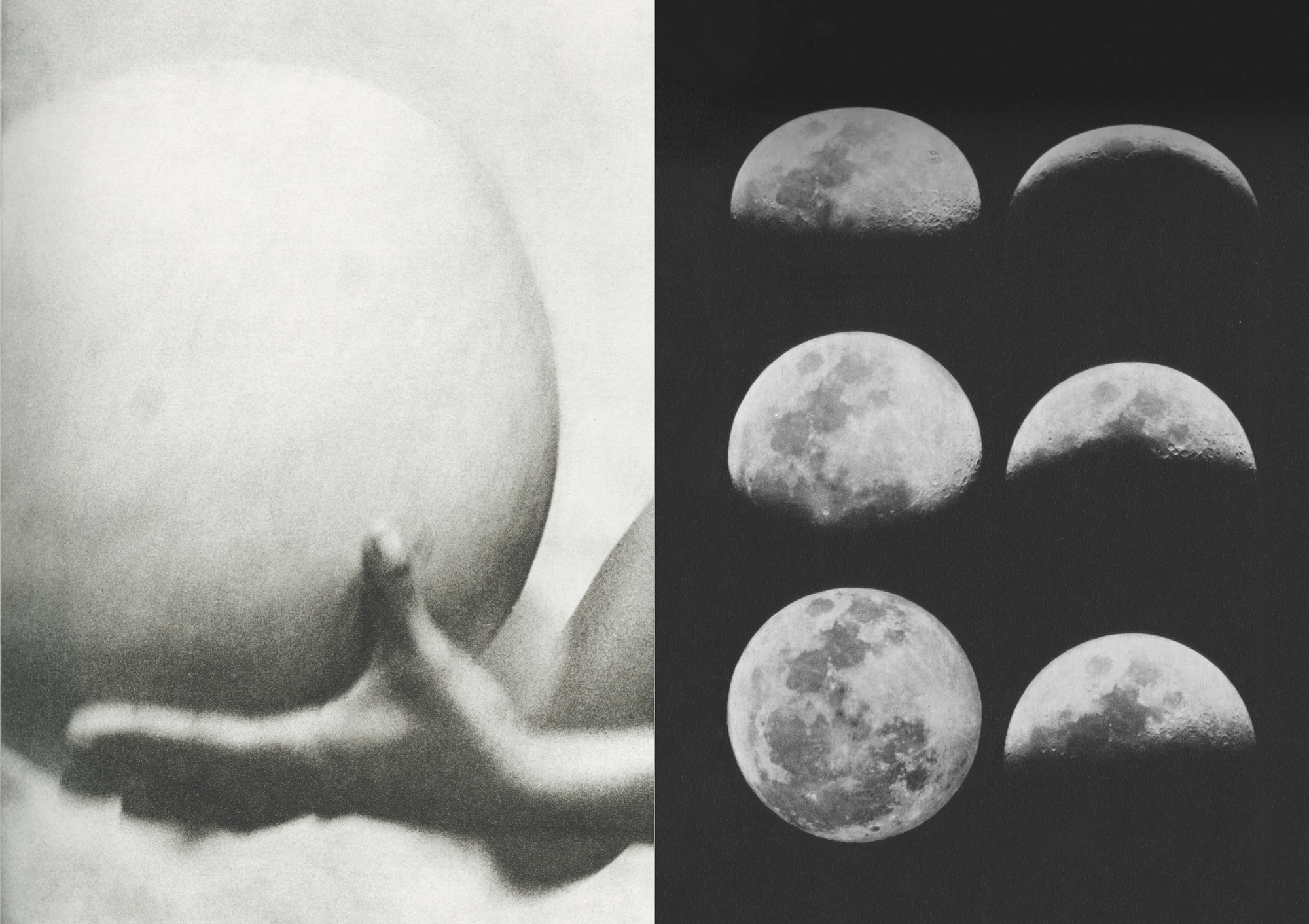 Film stills from Heroine, 2018. C19th glass plate negatives, archival photographs and prints transferred on to 4K, video, colour, sound, vinyl wallpaper 3 min. loop, audio written and read by the artist.