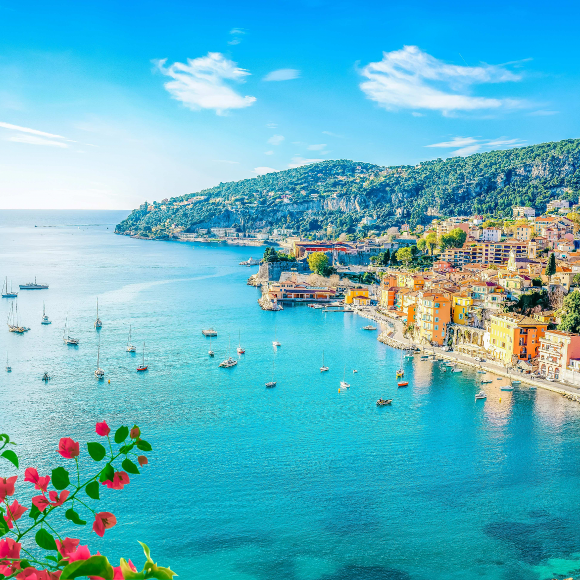 Mittelmeersafari – Von Monaco bis Sardinien