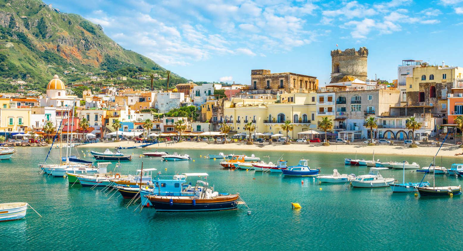 Forio (einfache Lizenz)