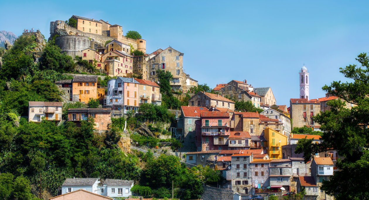 Corte (einfache Lizenz)