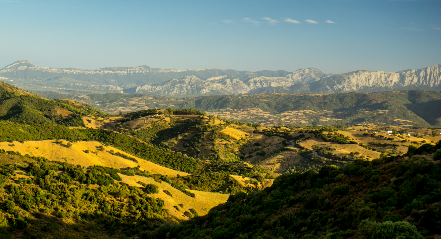 Landschaft Barbagia (einfache Lizenz)