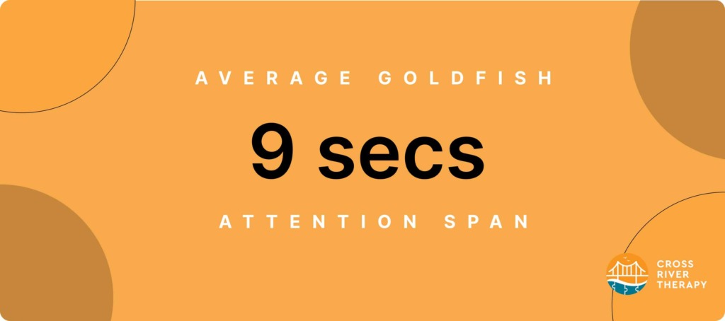 average goldfish attention span