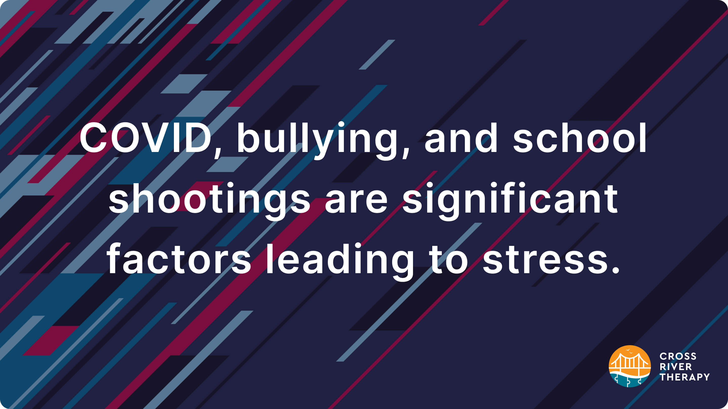 what causes student stress