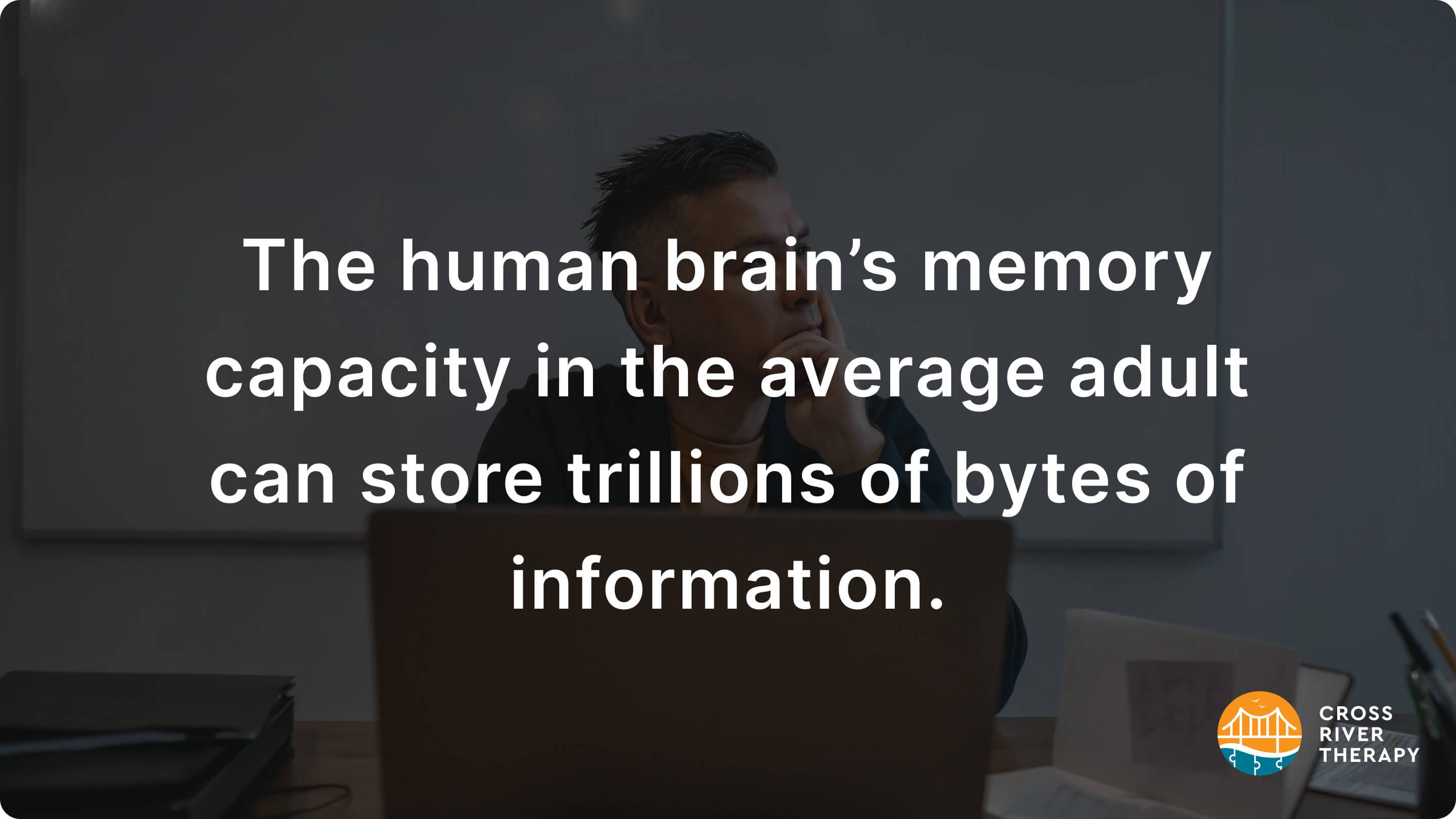 How much information can the brain hold?