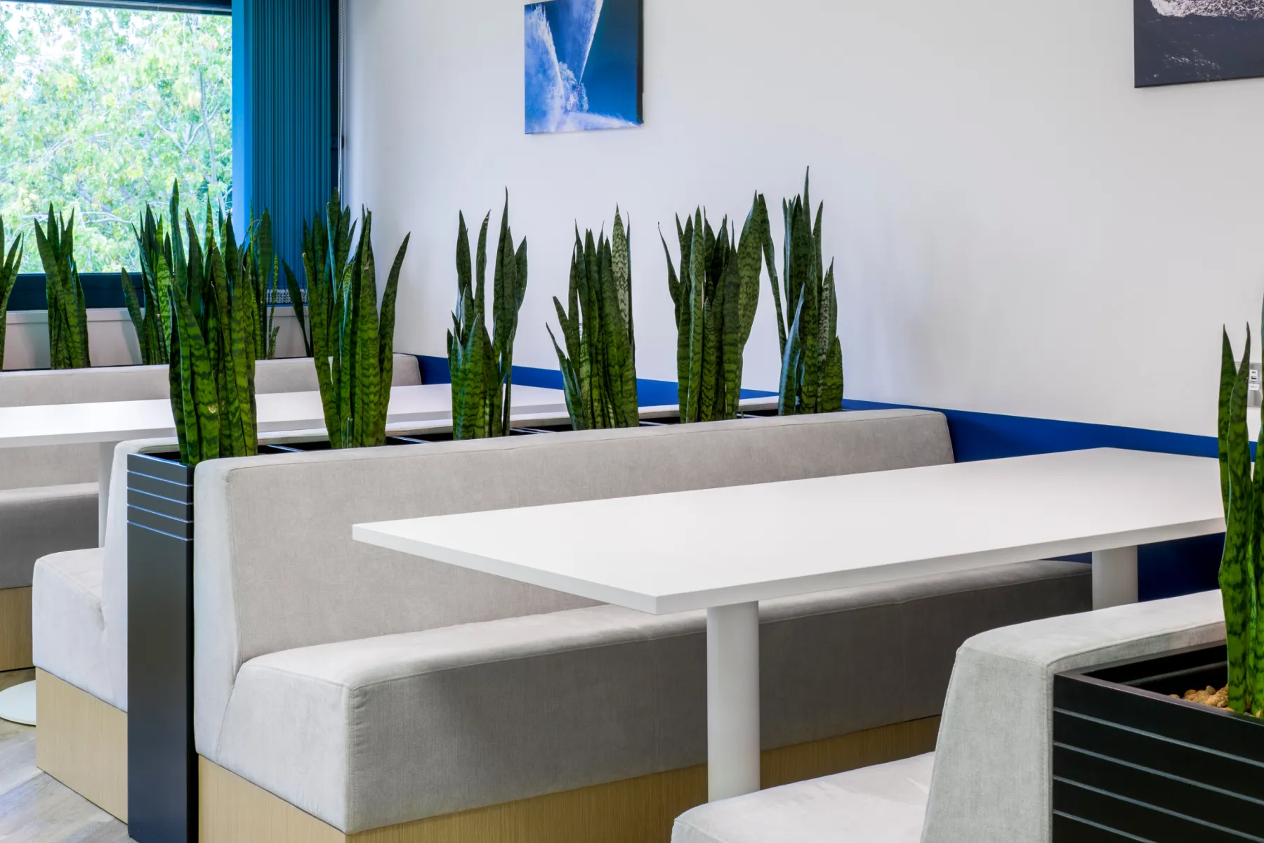Close-up of grey booth seating with integrated planters filled with tall greenery, creating natural zoning within the café area.