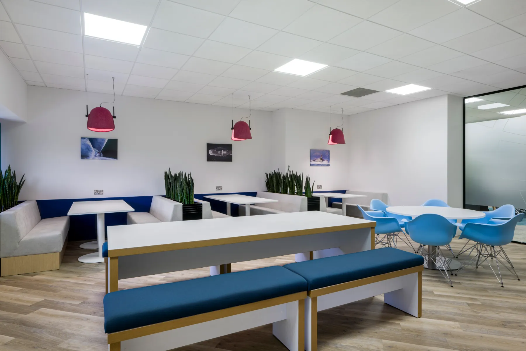 Bright workplace café featuring booth seating, white tables, blue accent chairs, timber flooring, and red pendant lights, designed for collaborative breaks.
