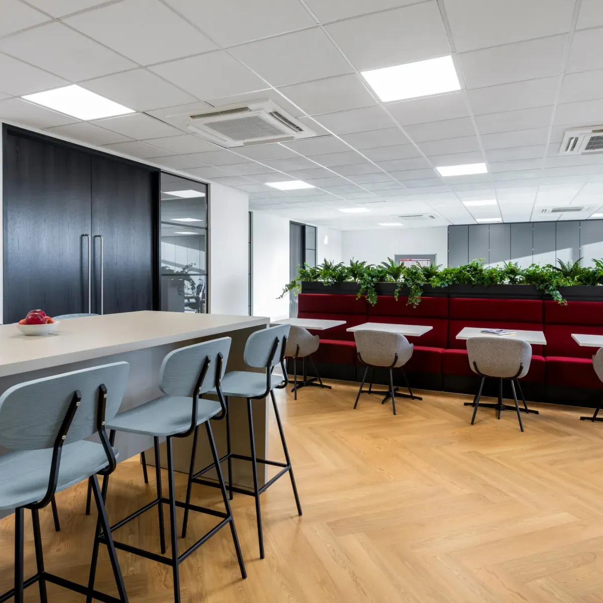 Richard Wolf Limited