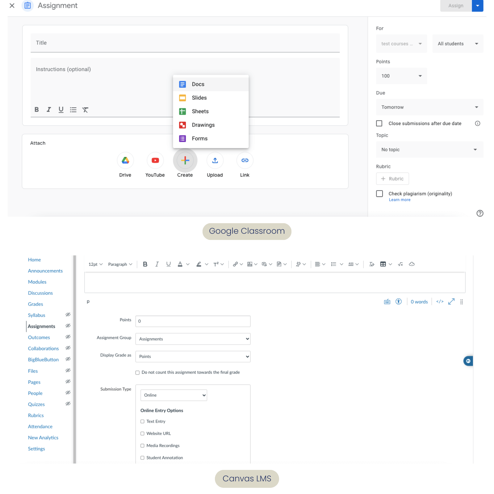 Google Classroom and Canvas LMS assignments options