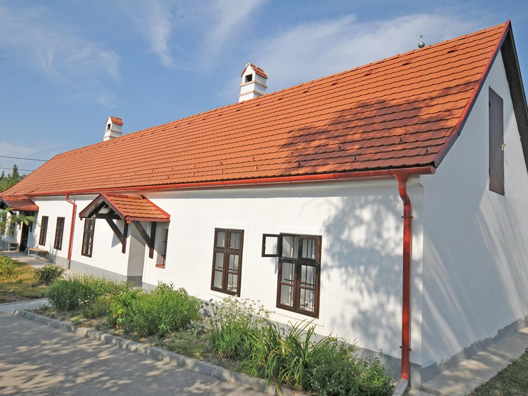 Tető