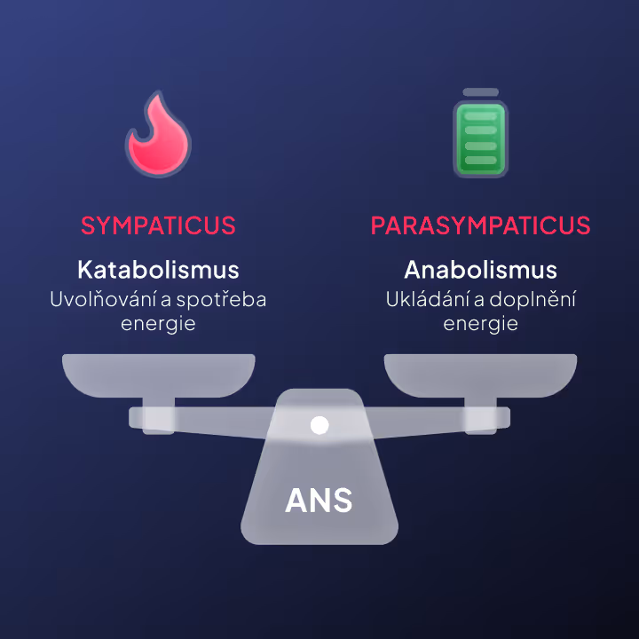 Illustration of functionality