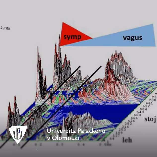Article illustration graphics