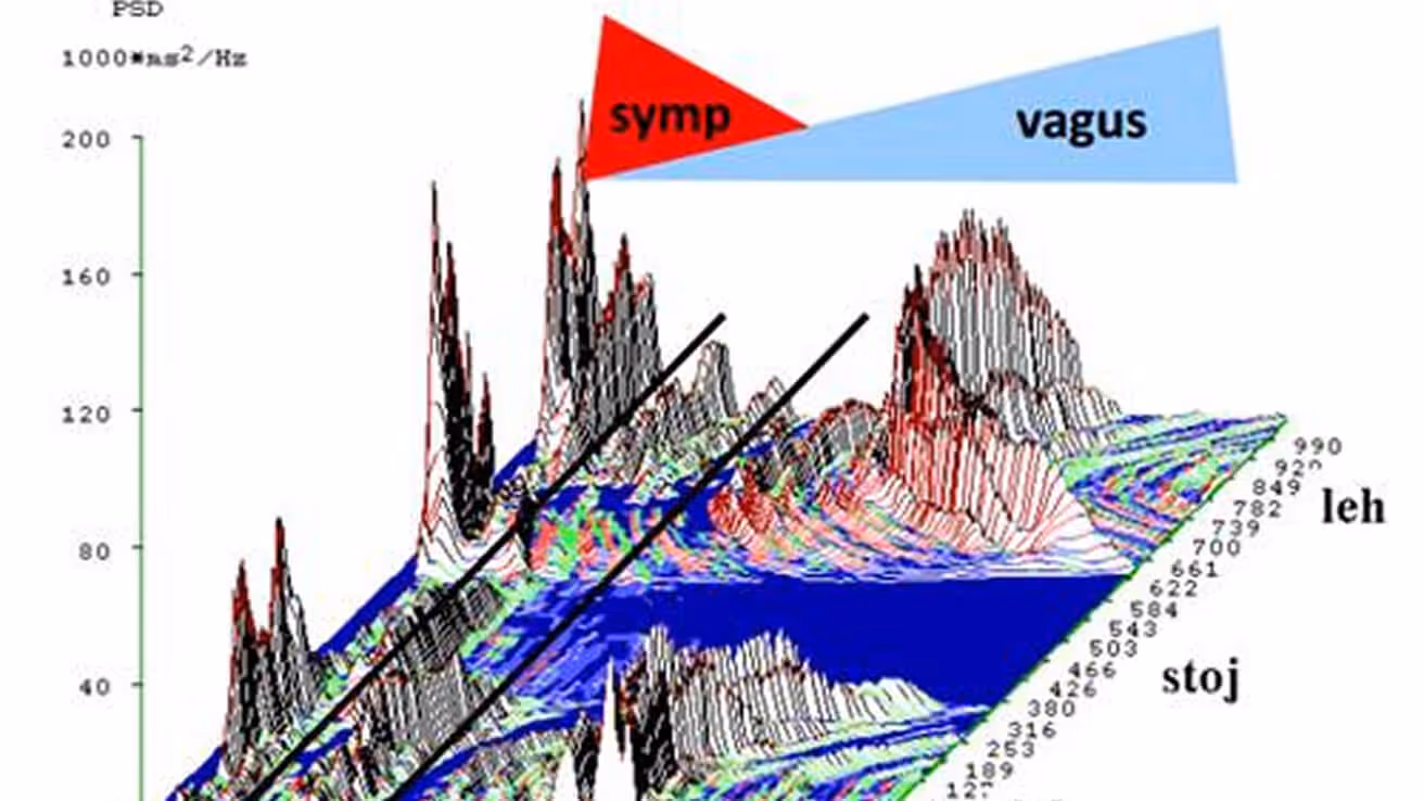 Visualisation of research data