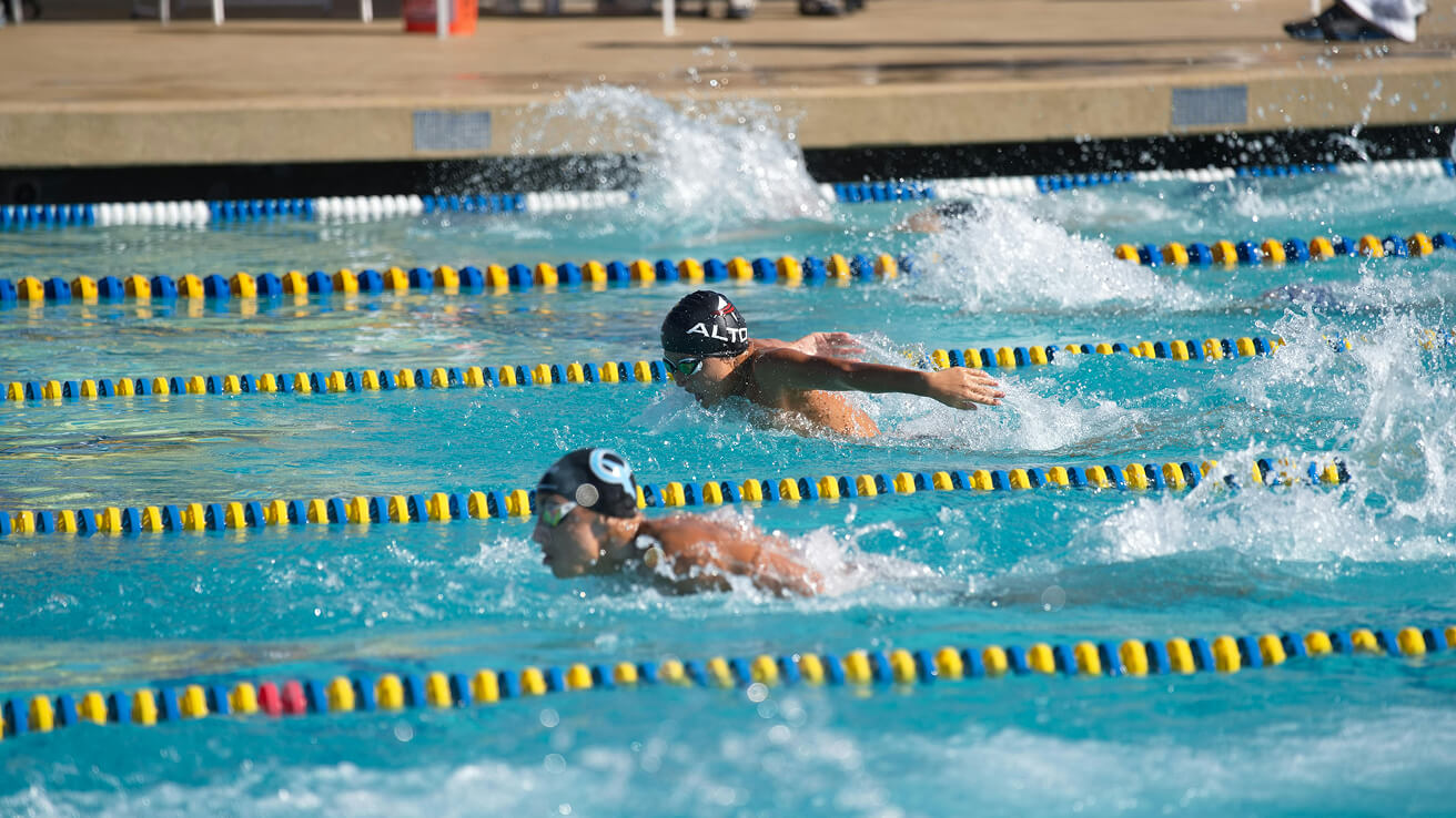 Photo of professional swimmers