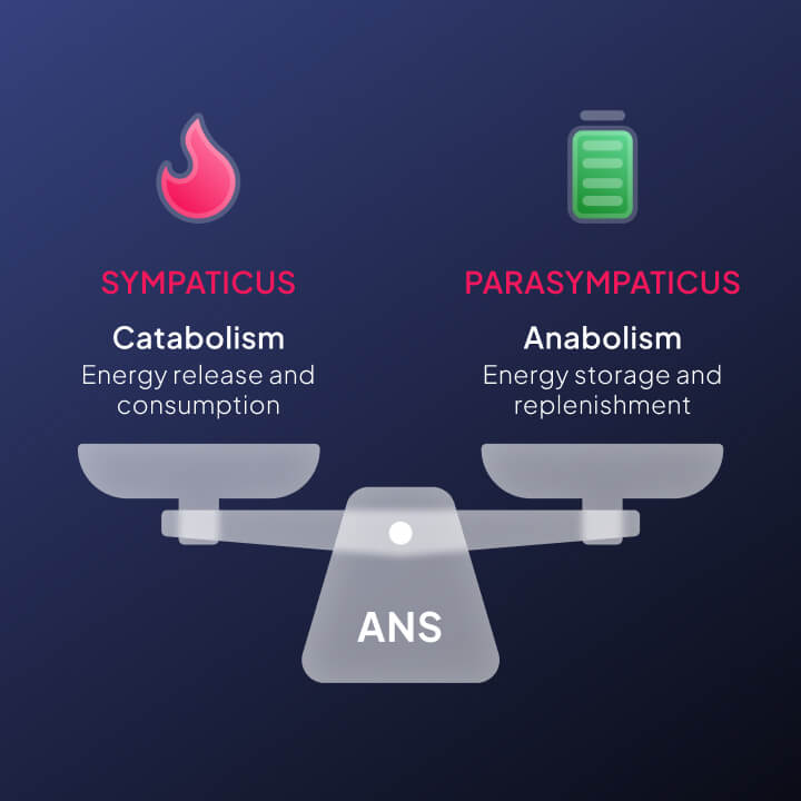 Infographics 