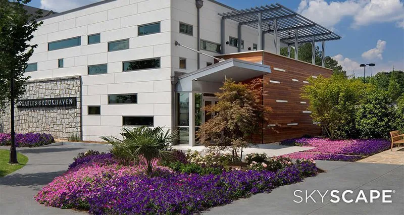 SkyScape Canopies - Our Vision