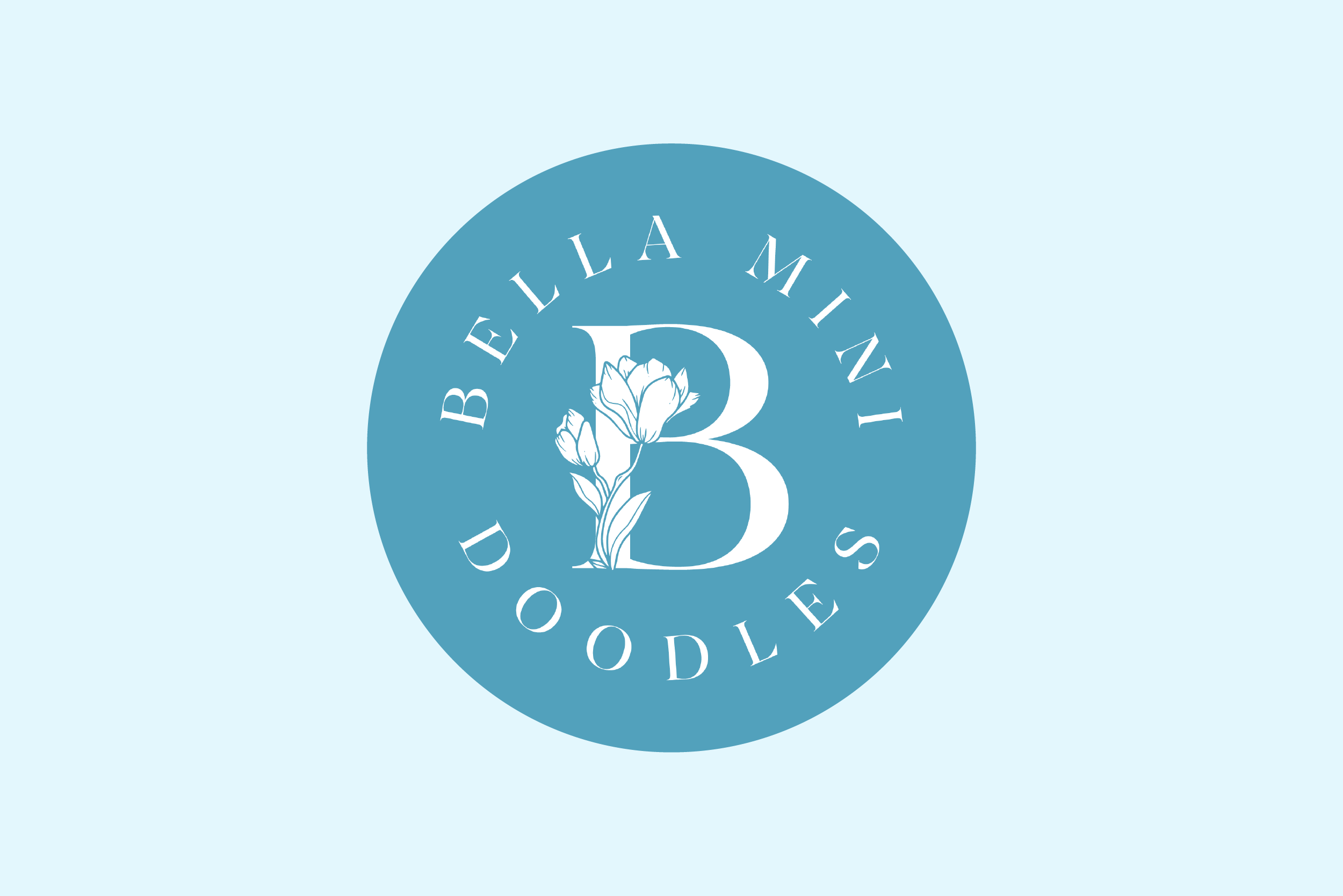 Bella Mini Doodles Facebook and Instagram ad creative for puppy litter announcements
