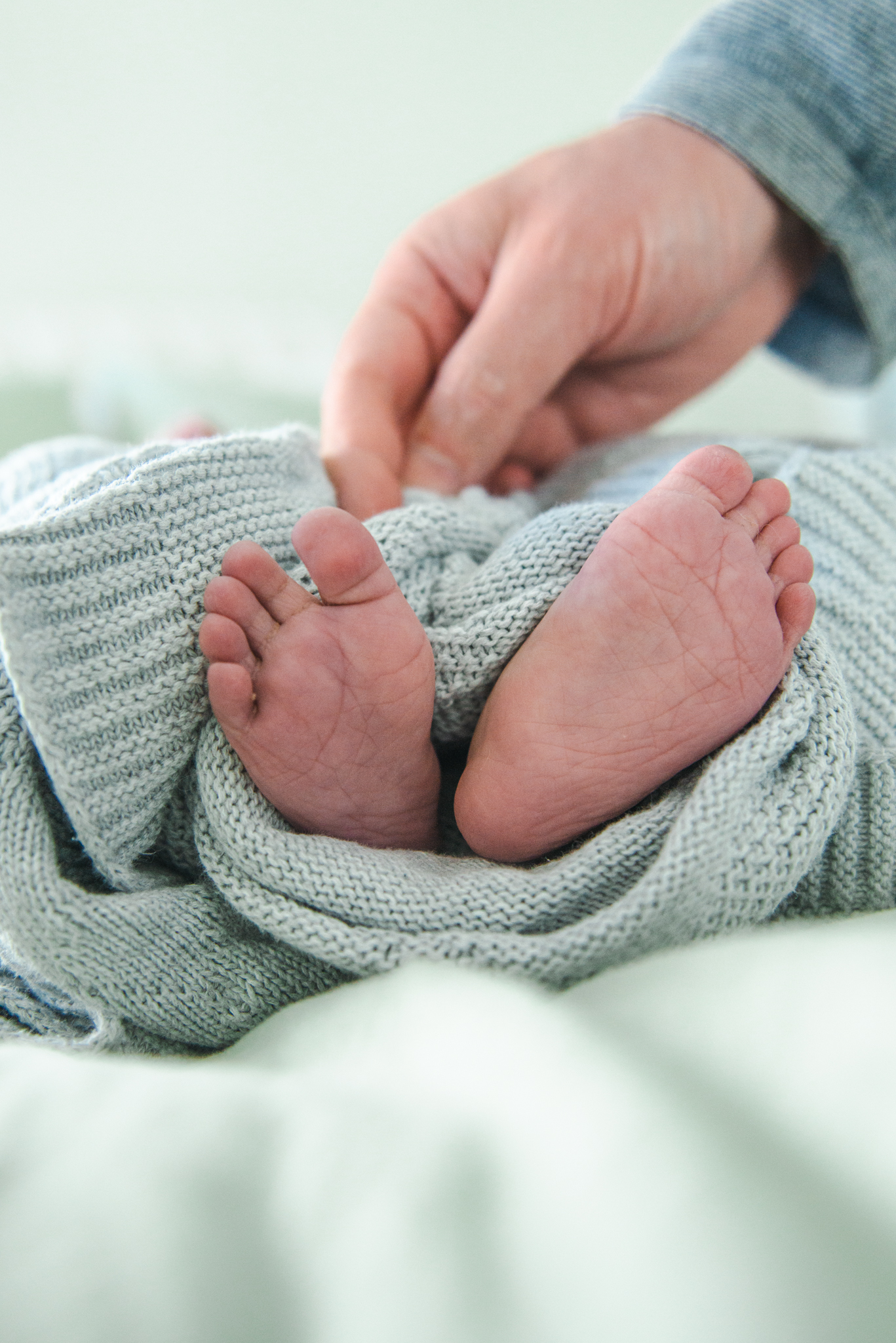 newborn - detail photography