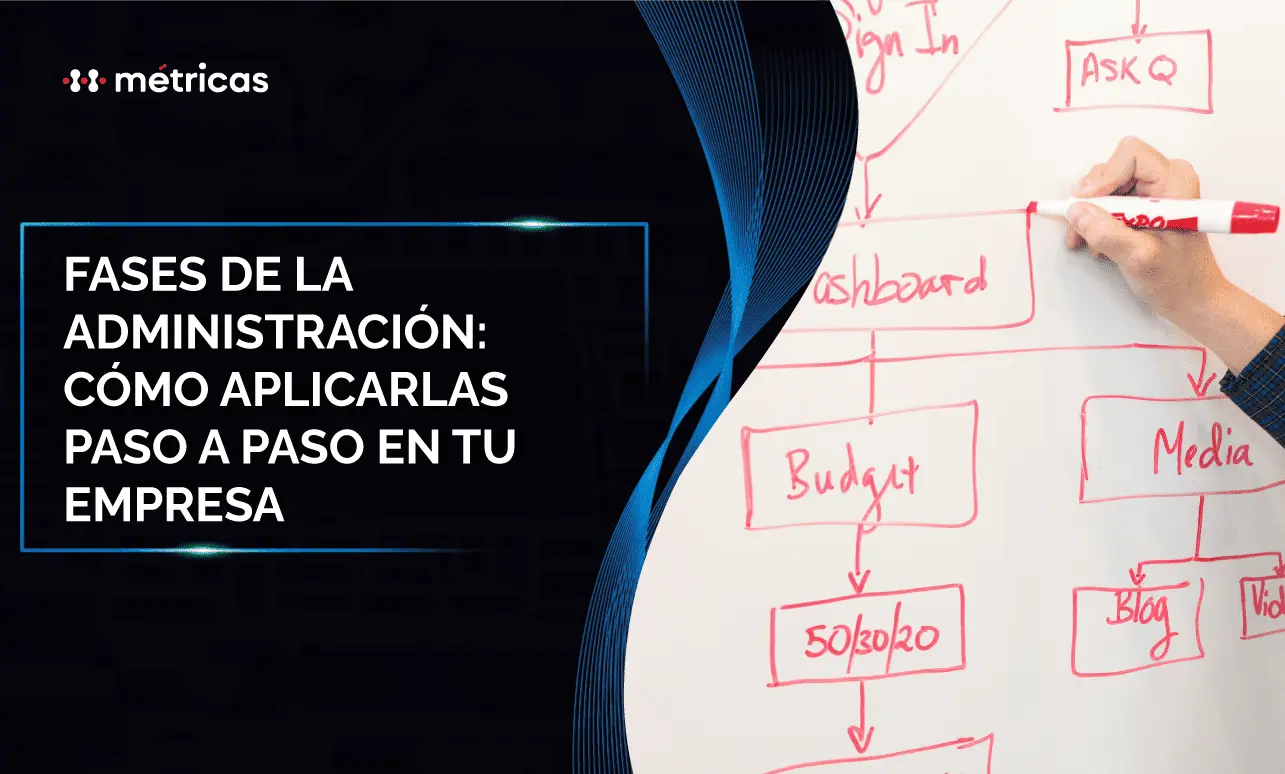 Fases de la administración: cómo aplicarlas en tu empresa