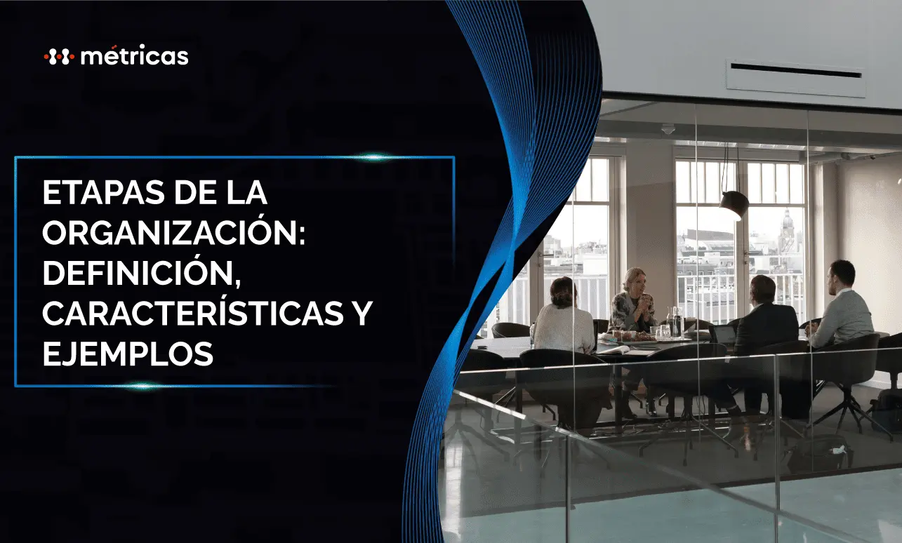 Etapas de la organización: definición y características