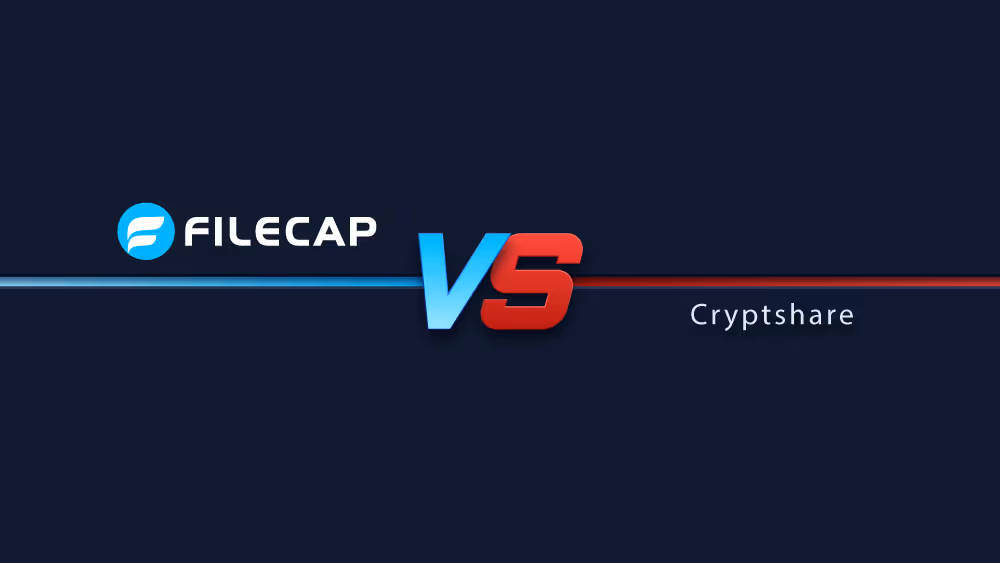 Cryptshare alternatief 