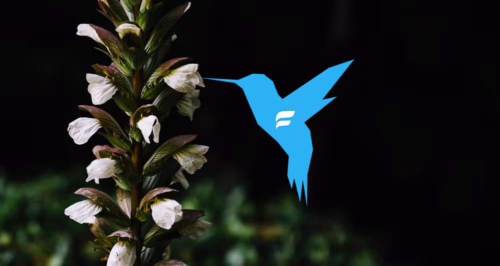 FileCap vervangt Zivver