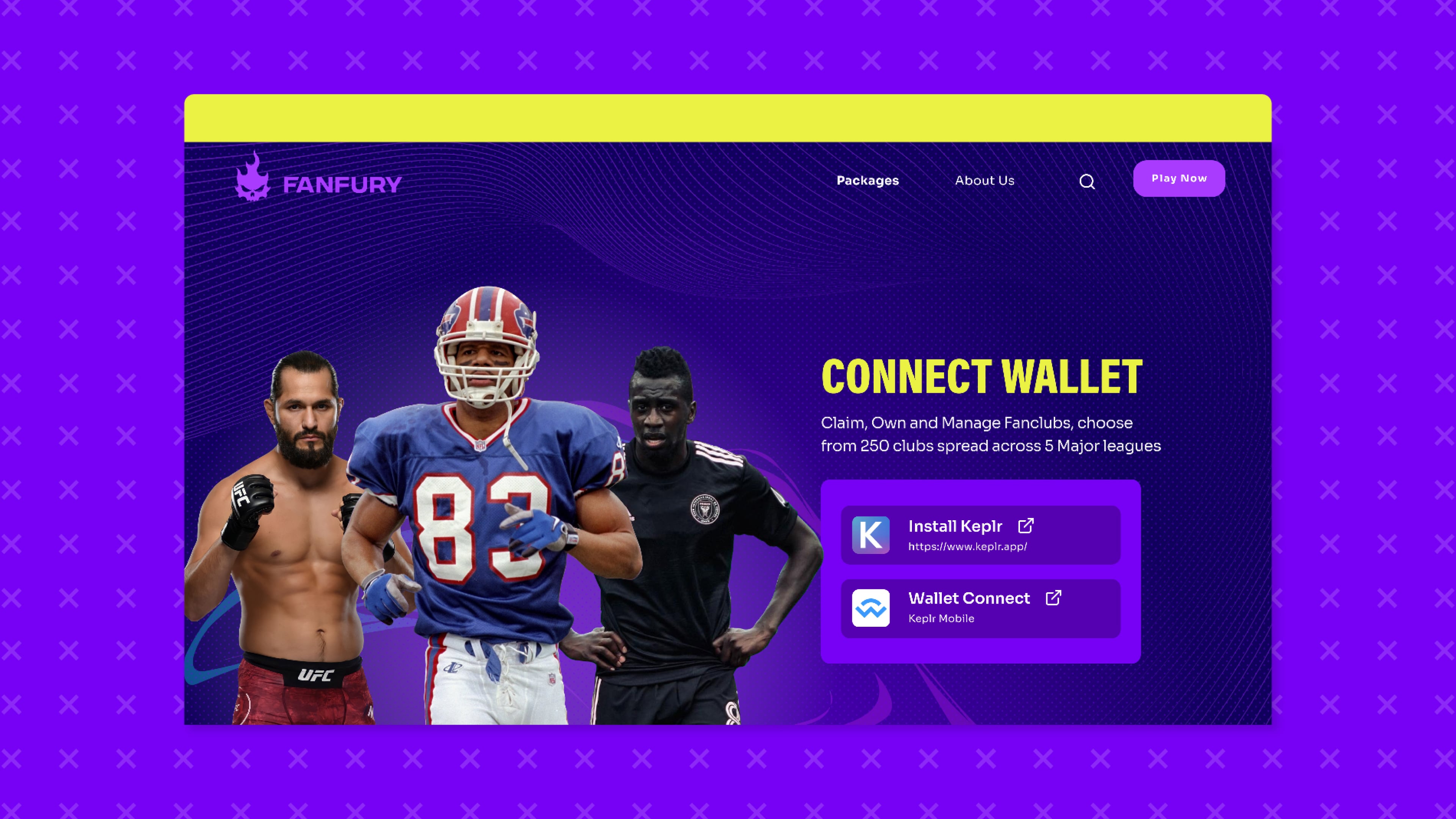 FANFURY Grapics Design