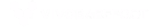 VIVOBAREFOOT logo with hexagonal shapes forming a pattern.