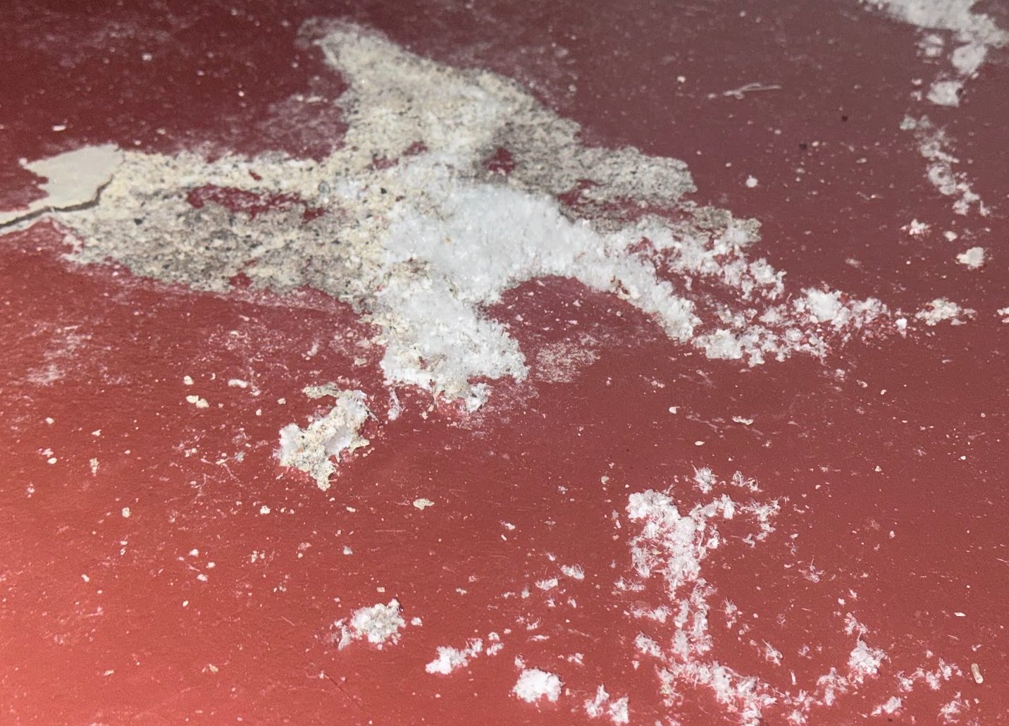 Hvite saltutslag og flassende maling på en kjellervegg
