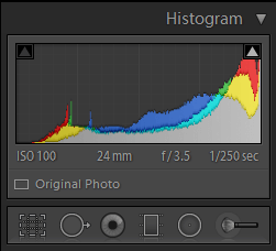 Histogram showing that the image is overexposed