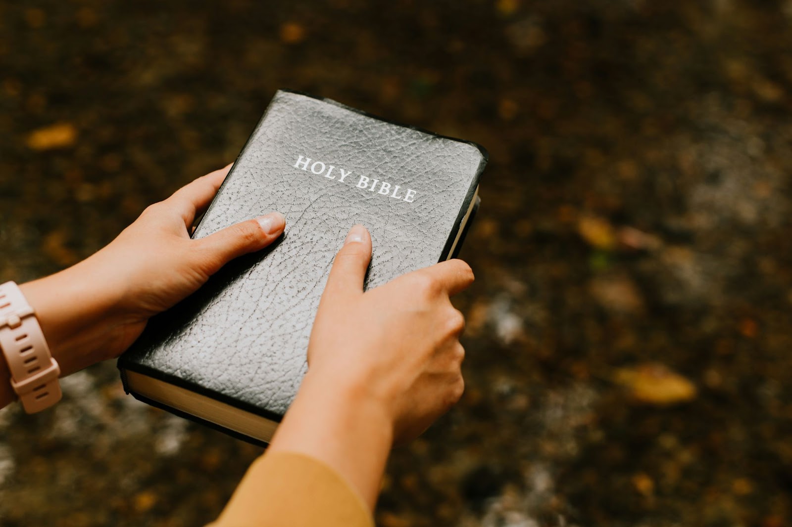 Person holding a Bible