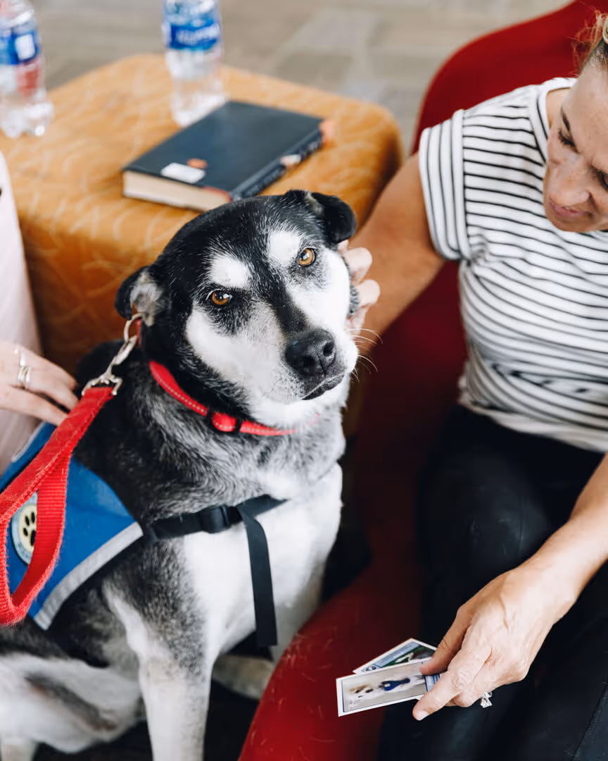 Holly - Service Dog at Northwest Arkansas National Airport