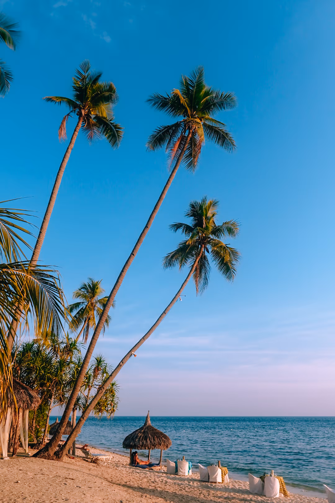 Palm trees and beach huts on a tropical shore.