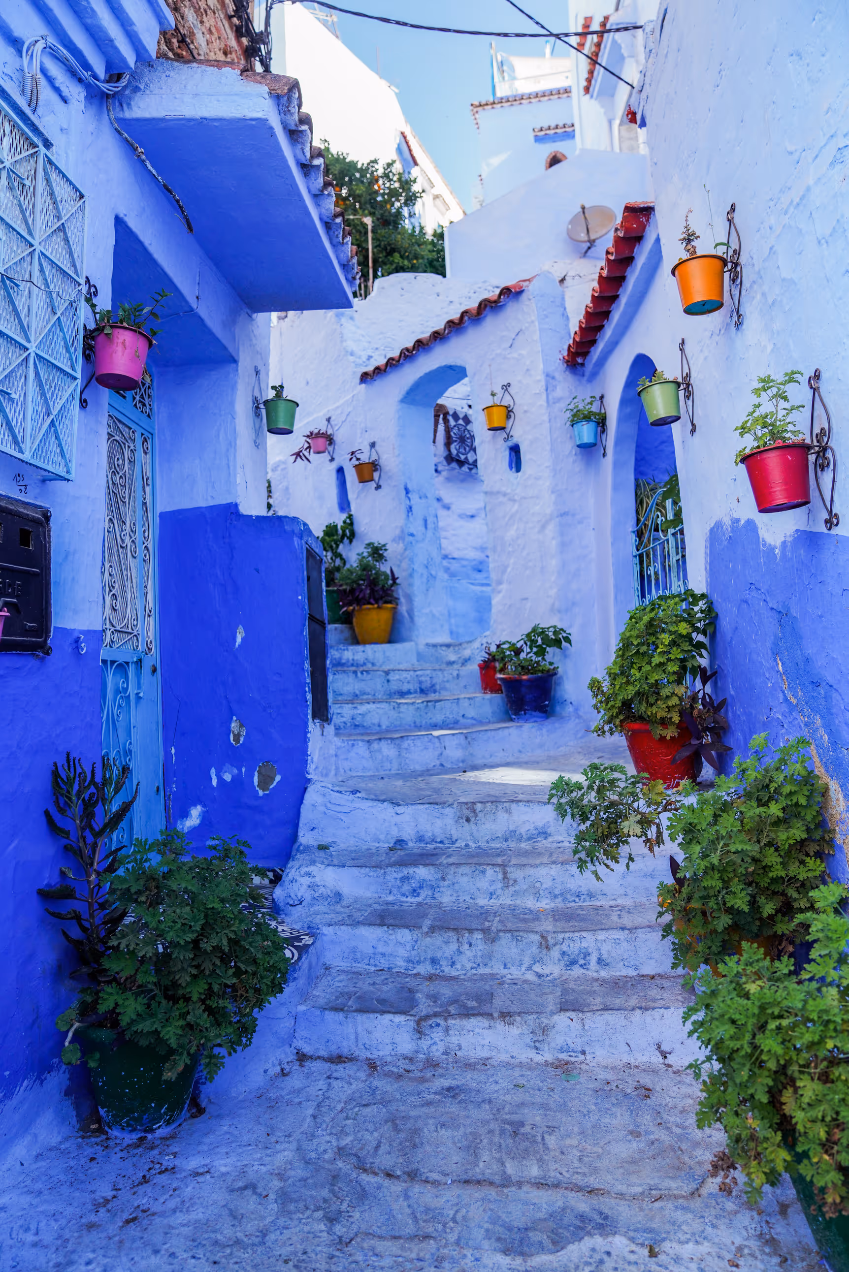 Narrow blue alley with colorful potted plants in Chefchaouen, Morocco.