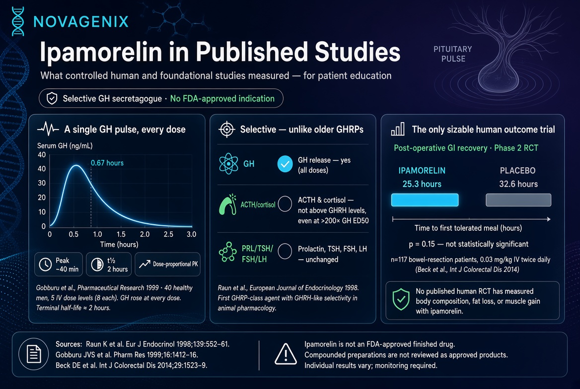 Ipamorelin in published studies: educational summary of growth hormone pulses, selectivity, and human trial findings