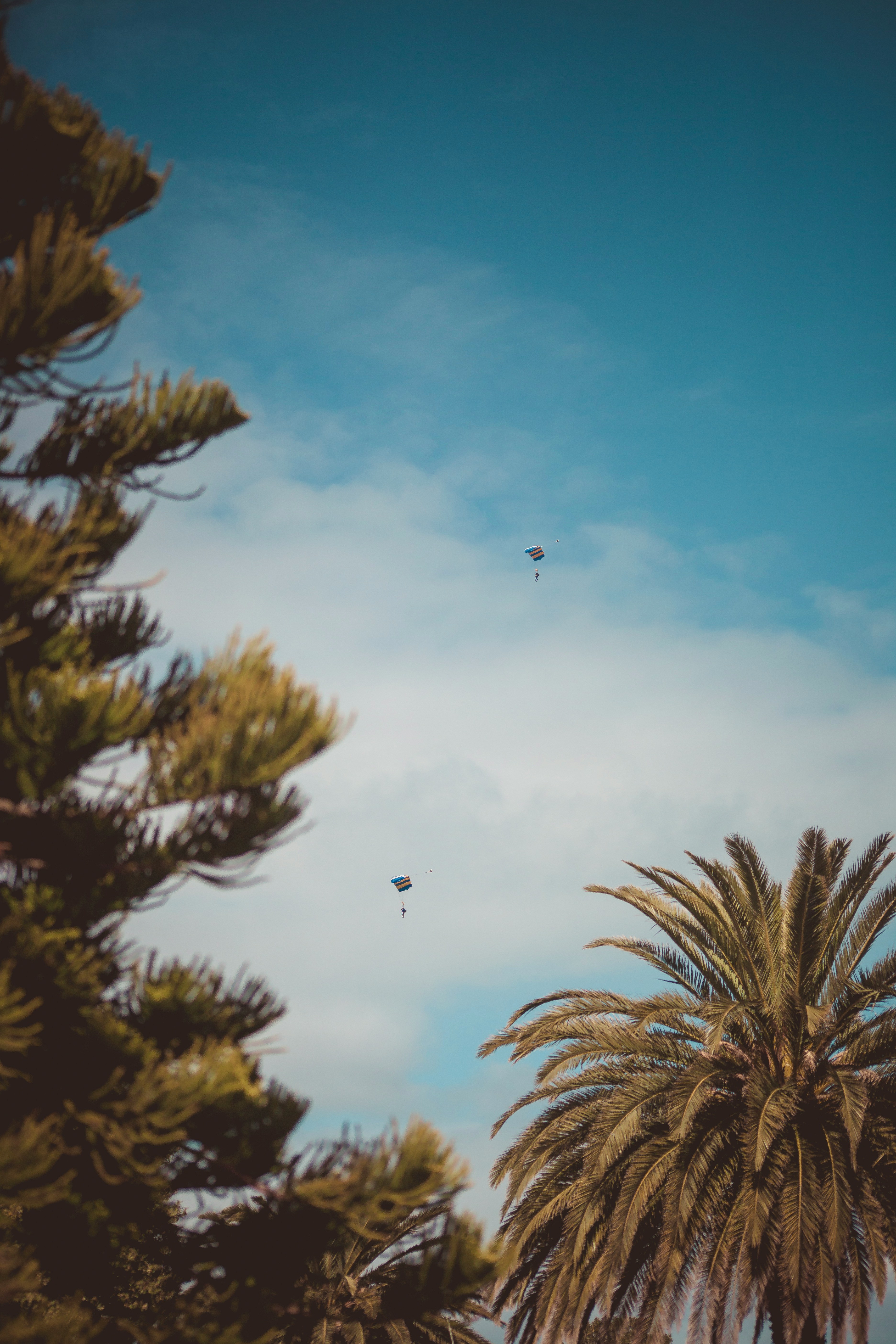 Parachute à Saint-Tropez La Tartane