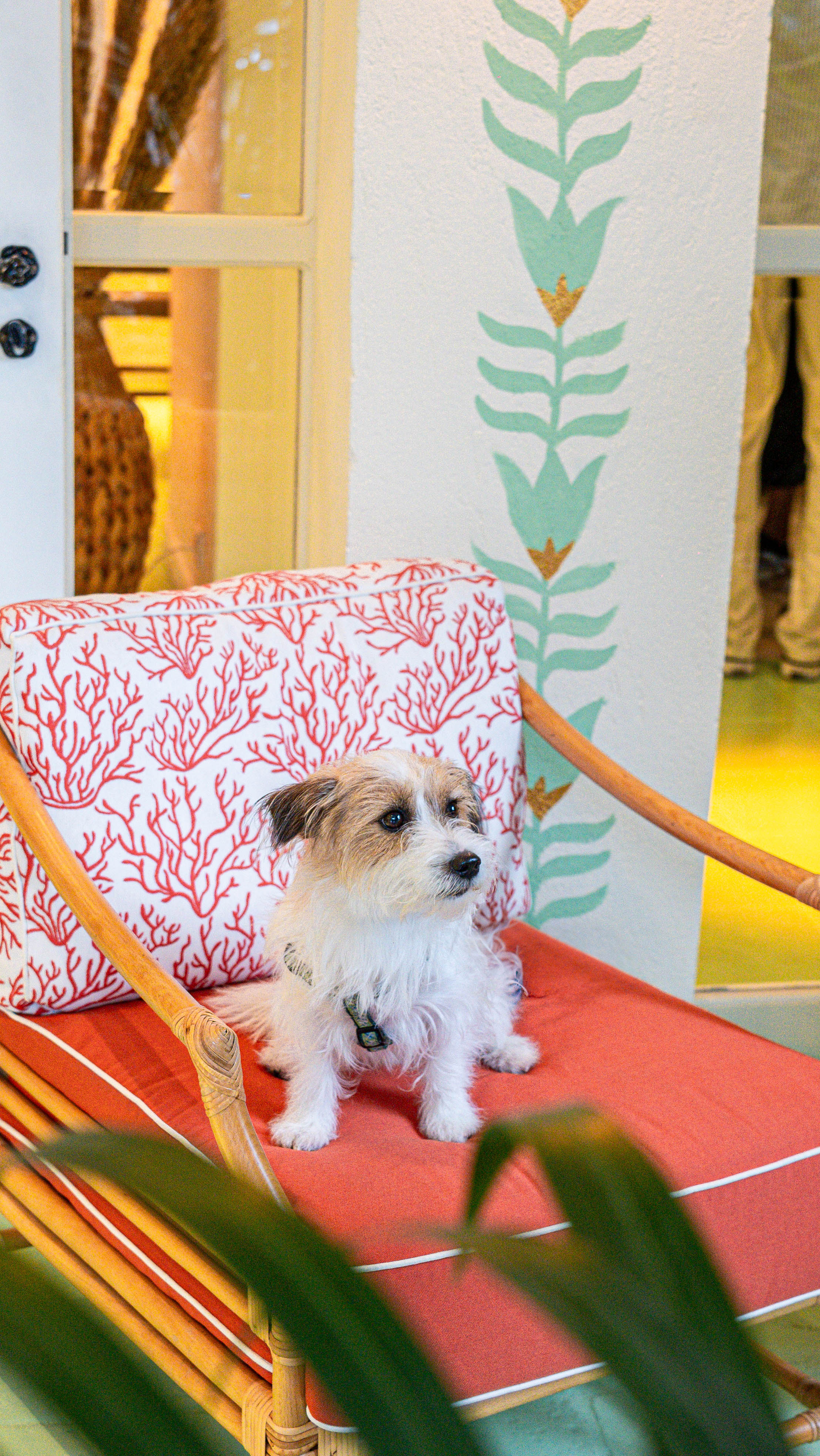 Hôtel pet friendly La Tartane Saint-Tropez