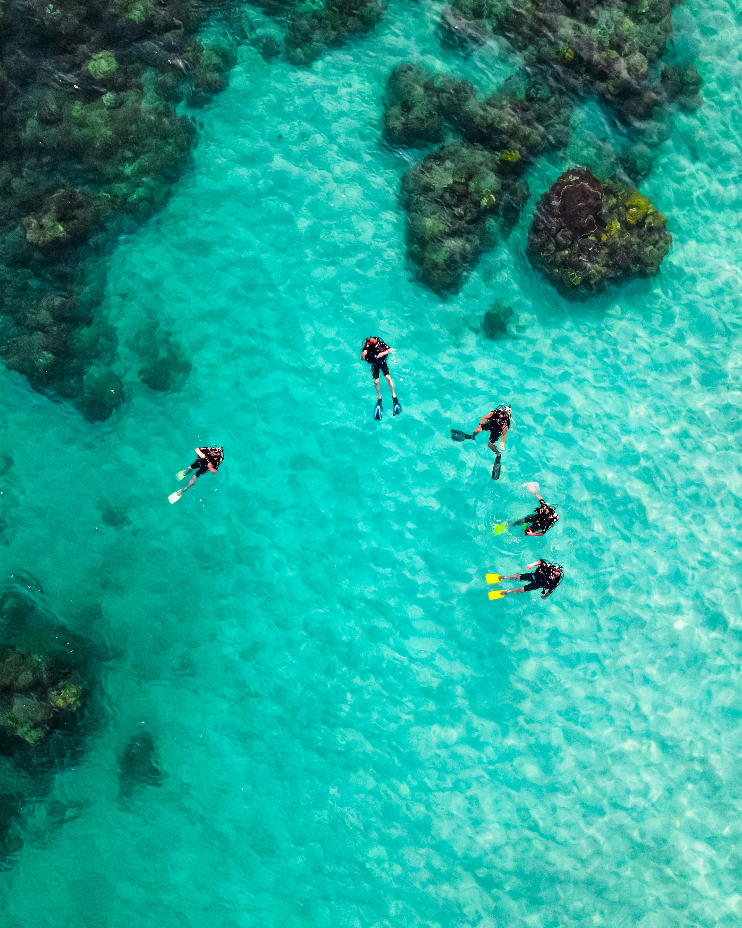 Activité snorkeling en mer près de Saint-Tropez La Tartane