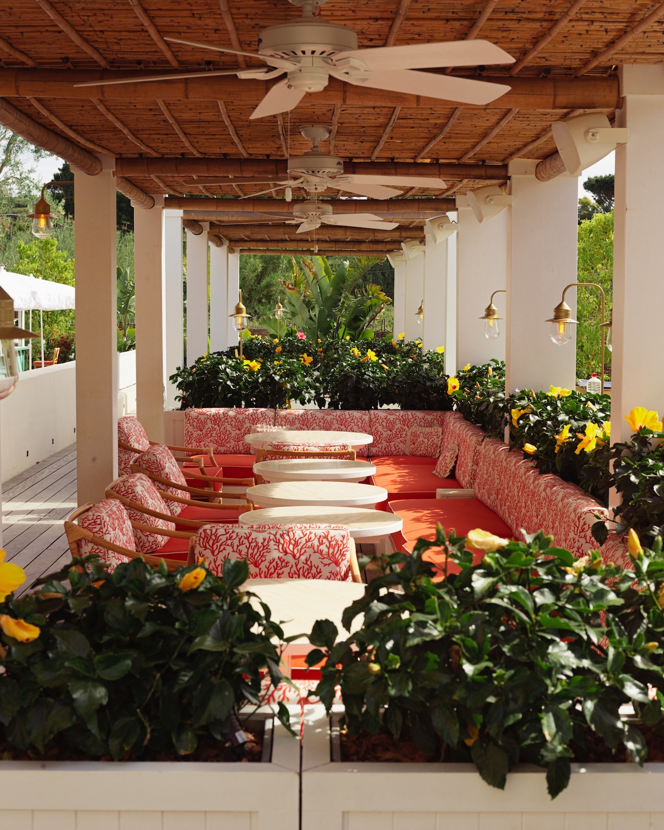 Terrasse végétalisée du restaurant de l’hôtel La Tartane à Saint-Tropez avec banquettes et tables en extérieur