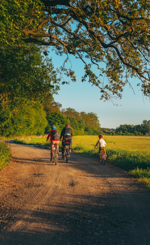 Bicicletes per cicloturisme a L'Empordà