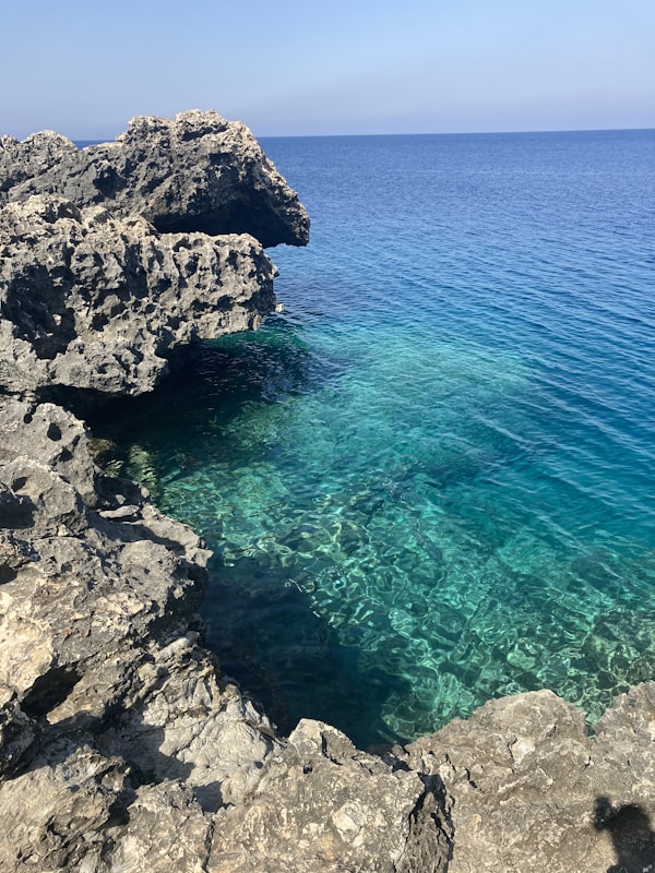 Reserva biomarina de les Illes Medes , Costa Brava